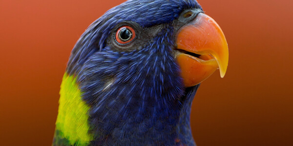 Drukarnia UV Warszawa