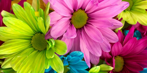 Drukarnia UV Warszawa